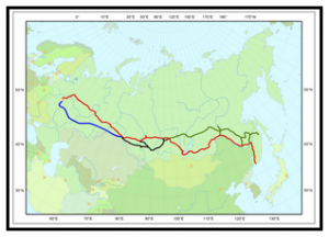 The famous Trans-Siberian Railway.